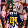 About Har Har Sambhu Song